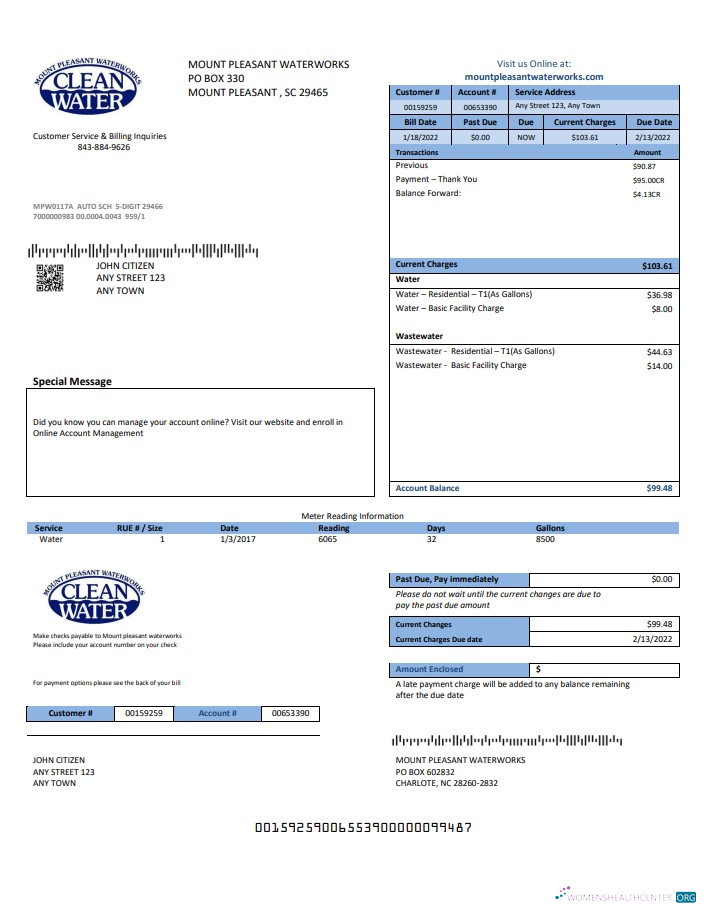 download download USA Clean Water utility bill template in Word and PDF format PDF template PDF template
